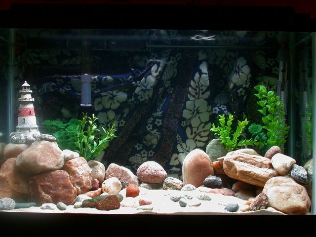 DSCN5765.JPG