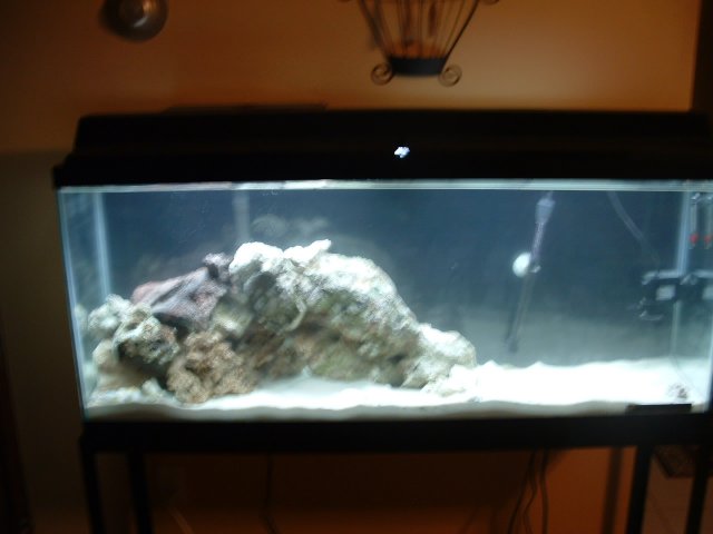 fish pics 004.jpg