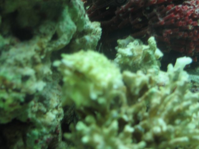 IMG_0904.JPG