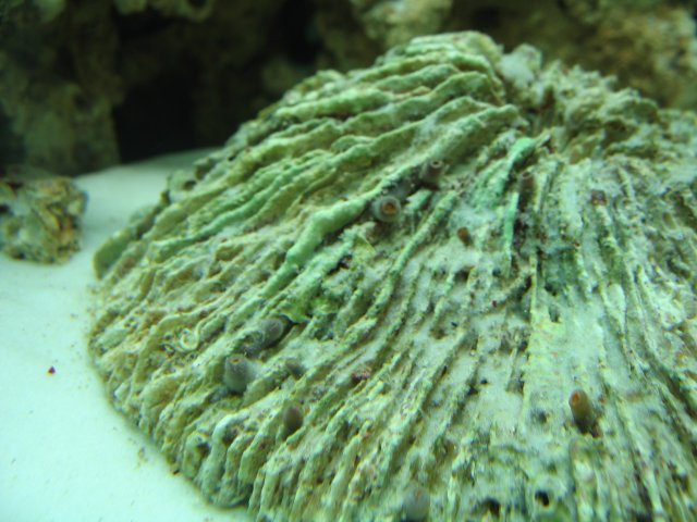 IMG_0902.JPG