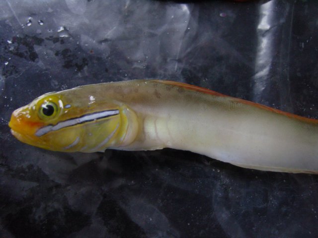 SNC10507.JPG