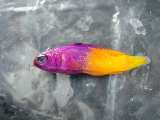 SNC10506.JPG