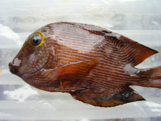 SNC10513.JPG