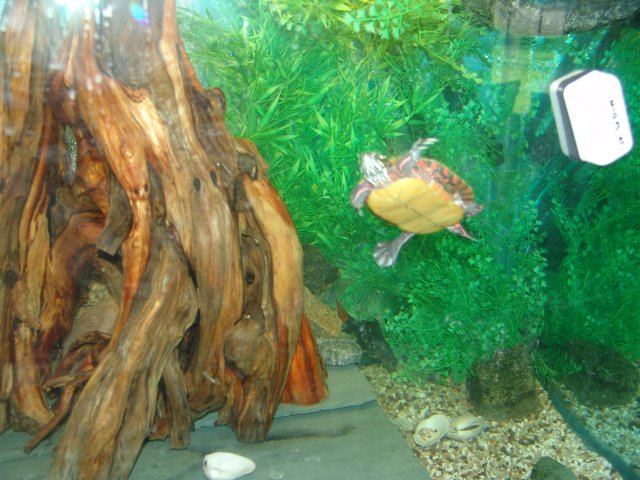 DSC01982.JPG