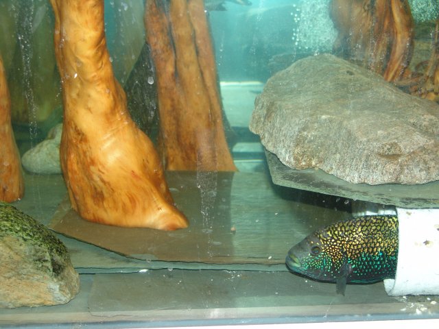 DSC01985.JPG