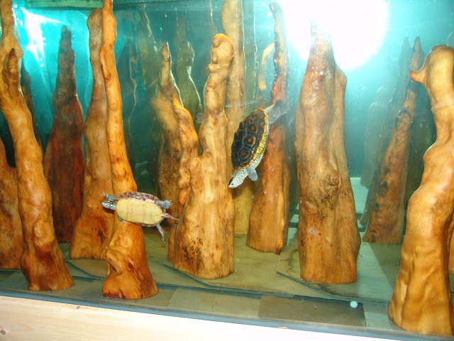 DSC01989.JPG