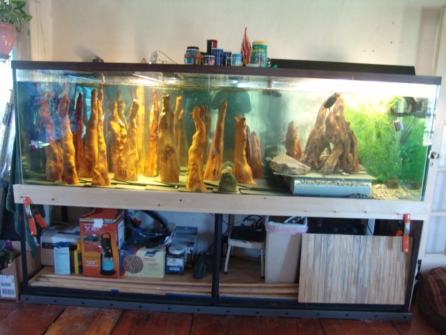 DSC02011.JPG