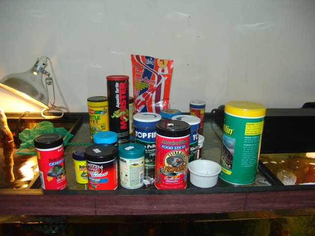 DSC02020.JPG