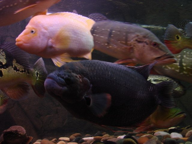 DSC02404_resize.jpg