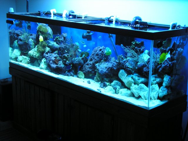 P1010169.JPG