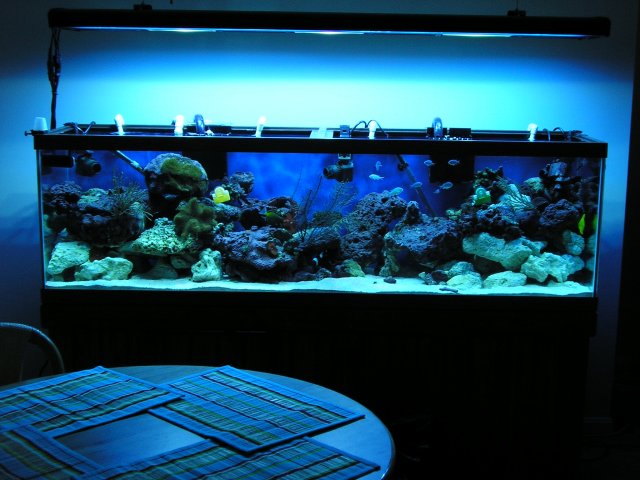 P1010170.JPG