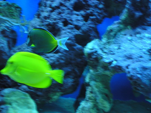 P1010172.JPG
