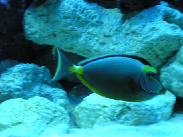 P1010174.JPG