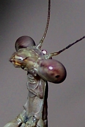 000_2625.JPG
