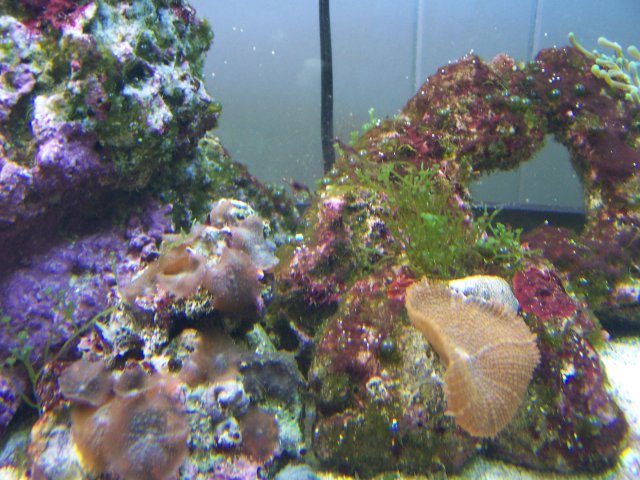 LightsOn-day2 011.jpg LightsOn-day2 011.jpg