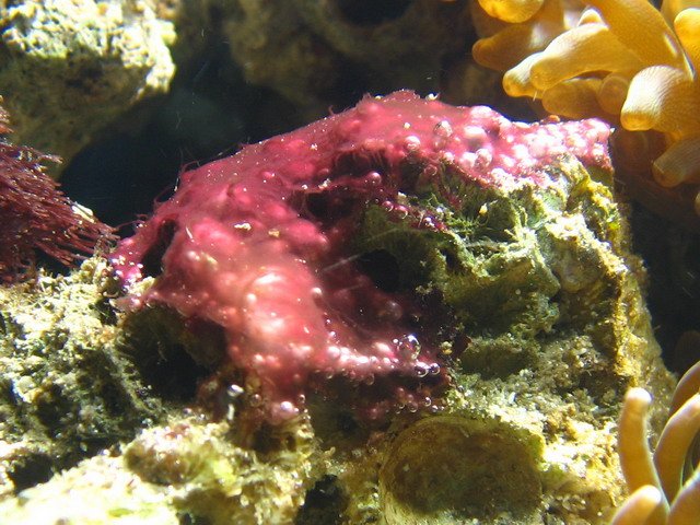 IMG_3108.jpg