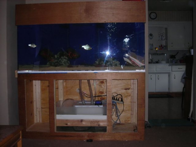 NEW TANK RUNNING0002.JPG