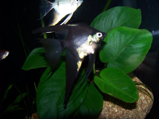 100_2674.JPG