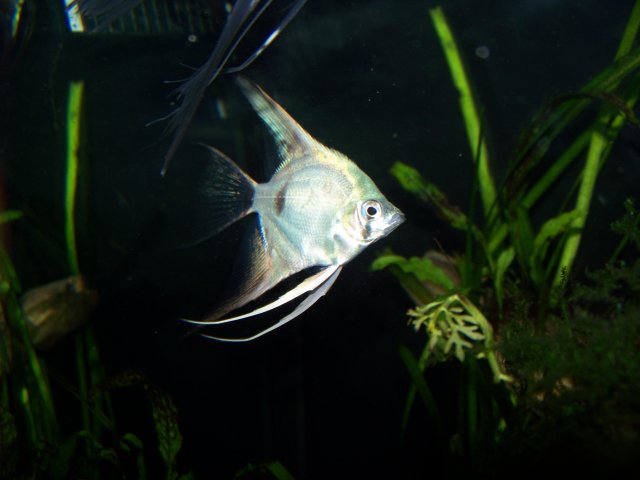 100_2660.JPG