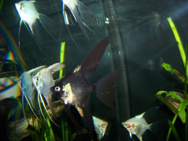 100_2679.JPG