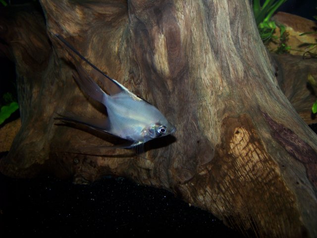 100_2670.JPG