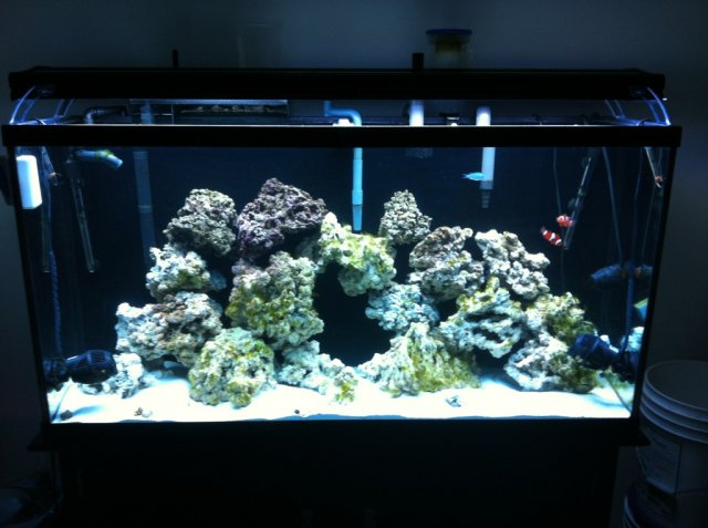 IMxxG_8280.jpg