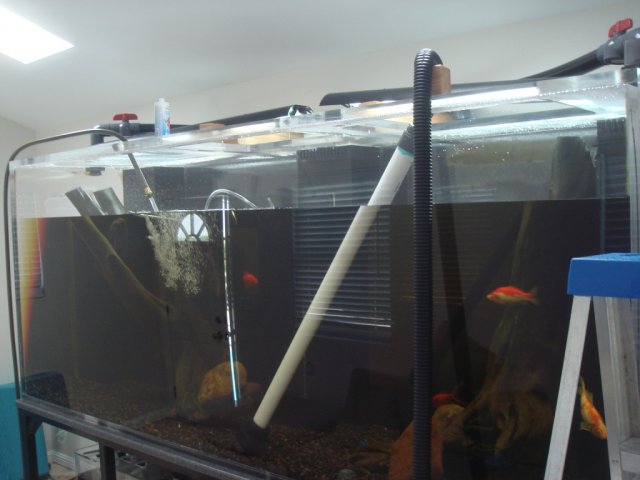 DSC06905.JPG