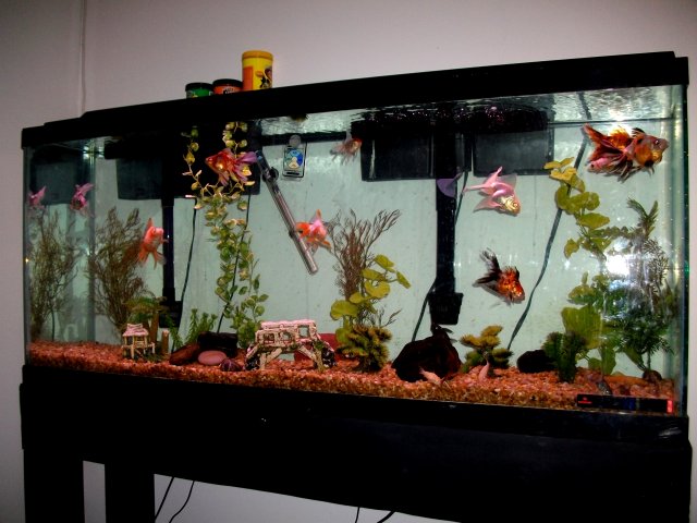 SANY0124A.jpg