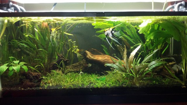2011-12-29_22-13-52_893.jpg