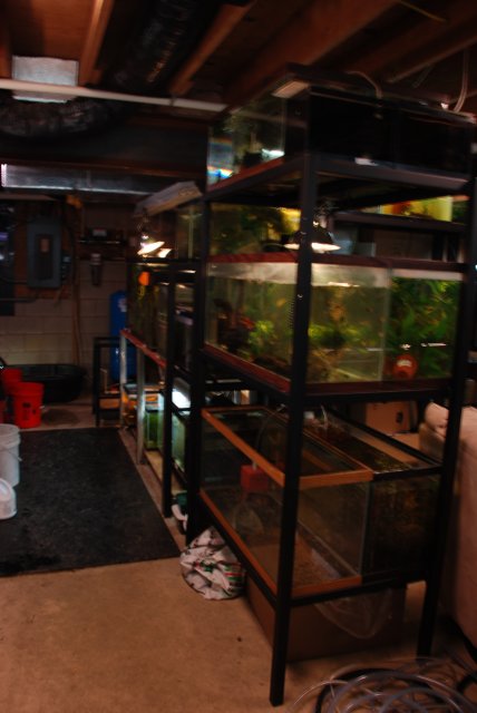DSC_0018.JPG DSC_0018.JPG