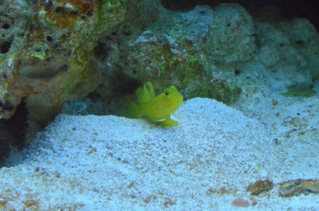 DSC_0007.JPG