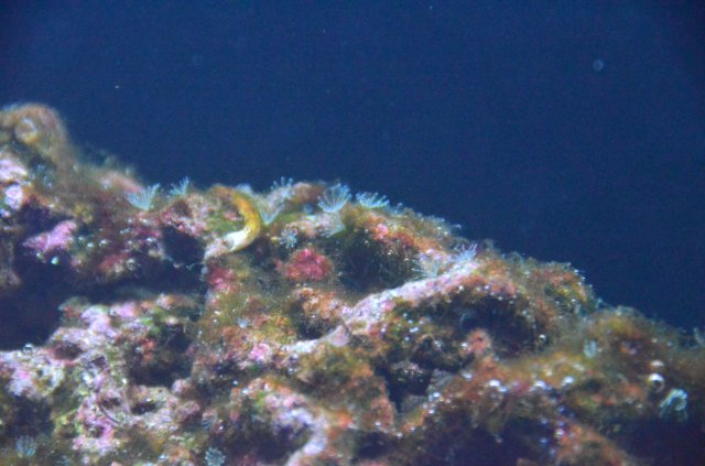 DSC_0079.JPG