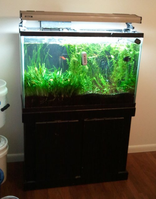 whole_tank.jpg