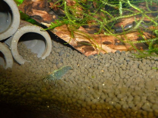 P1000787.jpg P1000787.jpg