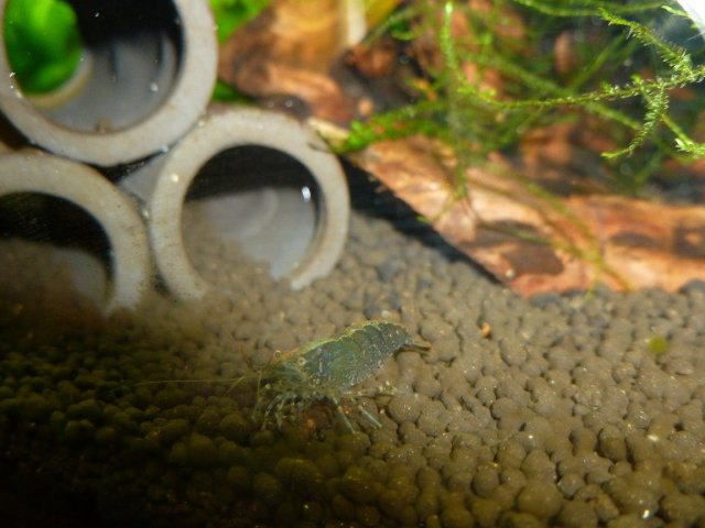 P1000788.jpg P1000788.jpg