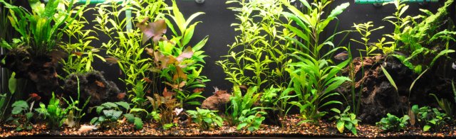 1-6-12 Full View.jpg