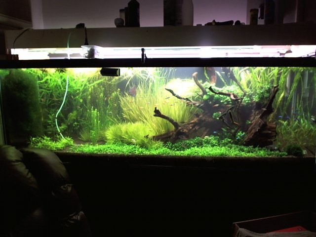 Picture 10.jpg