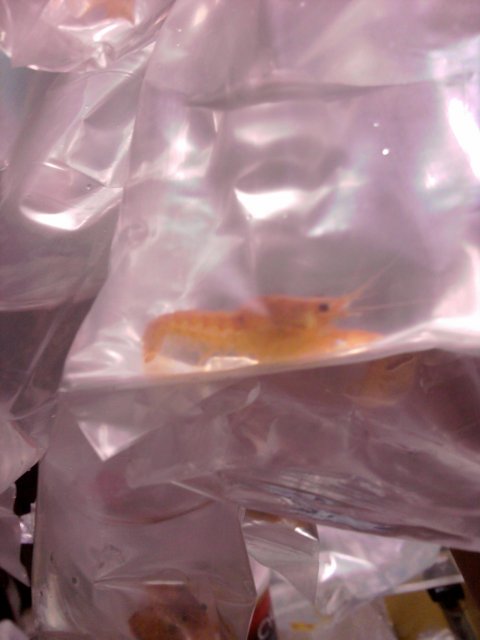 IMG_20120113_101545.jpg