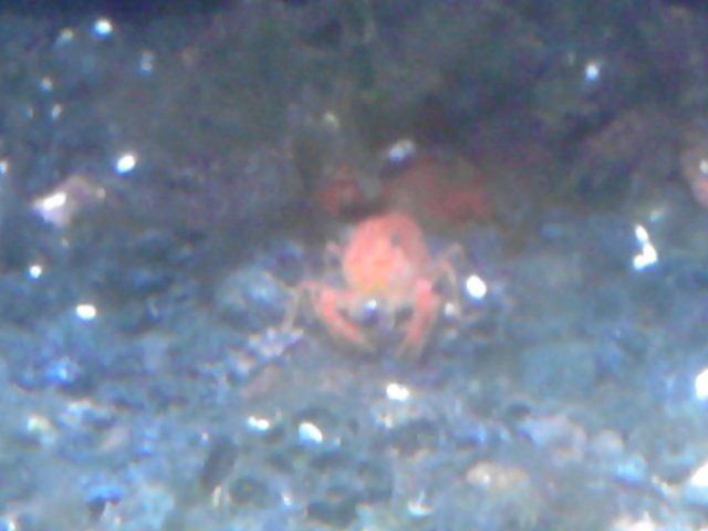 IMG_20120115_132443.jpg