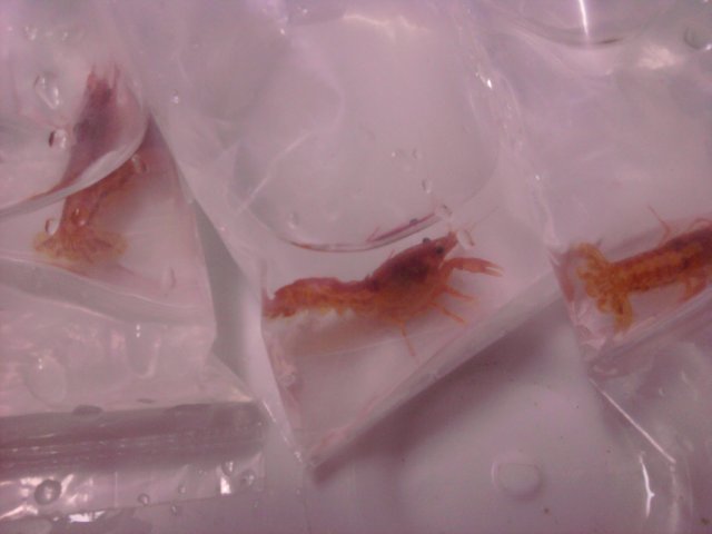 IMG_20120115_010409.jpg