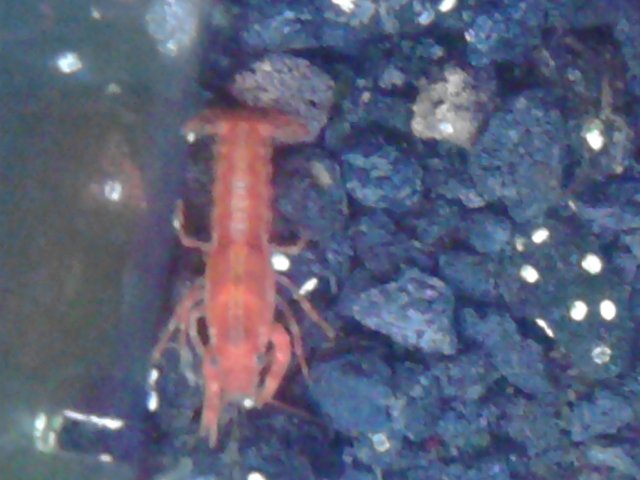 IMG_20120115_132520.jpg