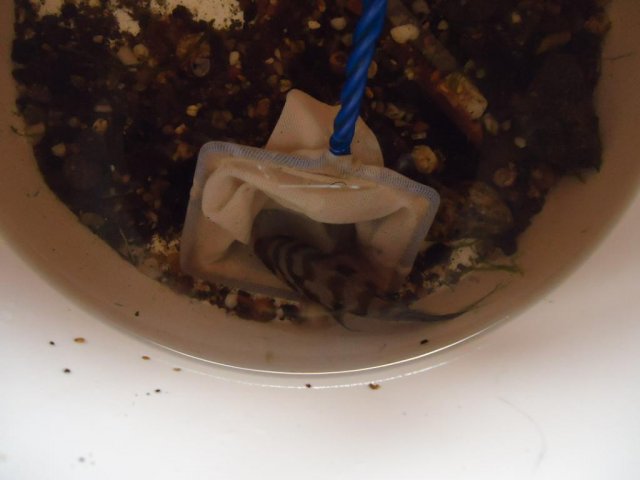 DSC06693.jpg