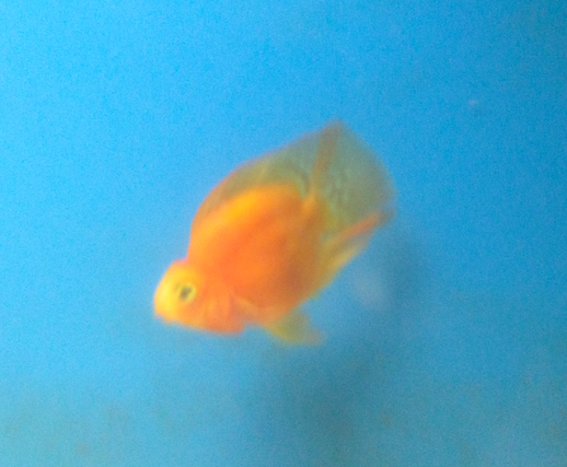 Screen Shot 2012-01-18 at 6.33.26 PM.png