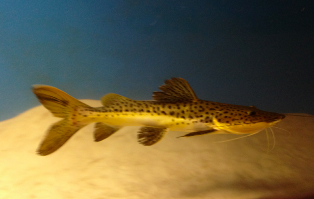 Screen Shot 2012-01-18 at 6.32.55 PM.png