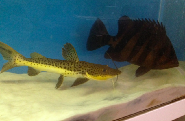 Screen Shot 2012-01-18 at 6.33.41 PM.png