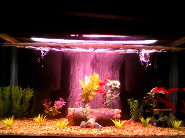 Picture0033.jpg