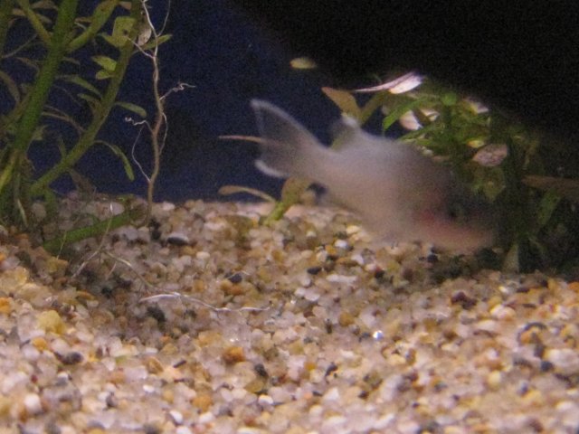 IMG_0004.JPG