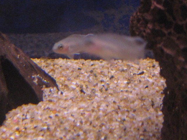 IMG_0011.JPG