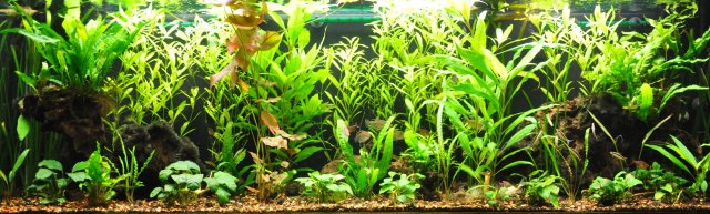 1-22-12 Full View.jpg 1-22-12 Full View.jpg