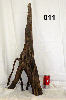 011c_stump.JPG 011c_stump.JPG